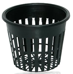 WICK POT 50MM - BLACK NET POT